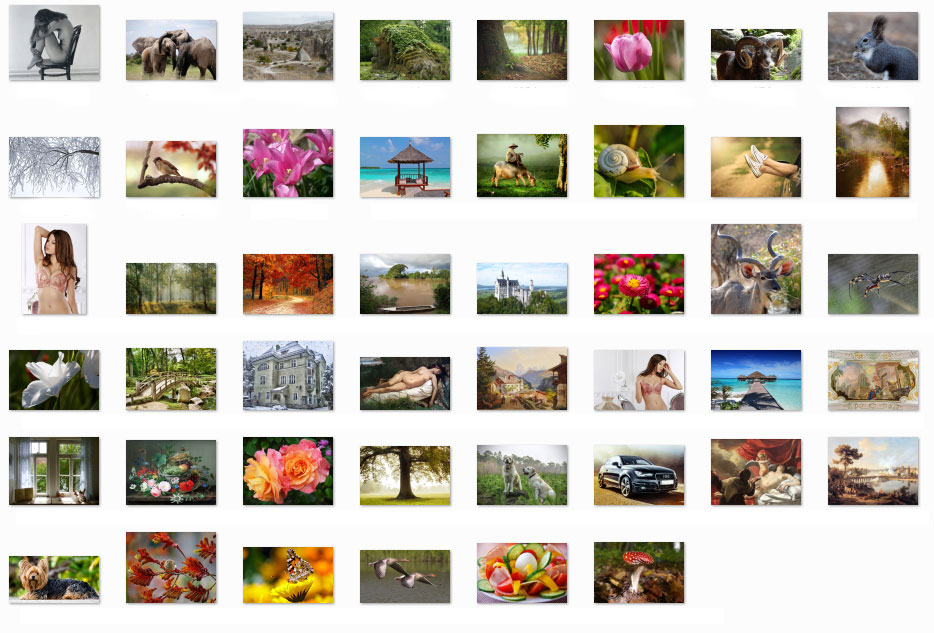 Изображение товара